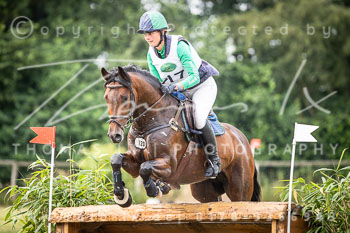 19 - Luhmühlen CCI2*, Nummern 001-089 19 - Luhmühlen CCI2*, Nummern 001-089