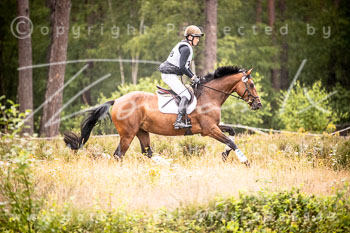 21 - Luhmühlen Gelände VA