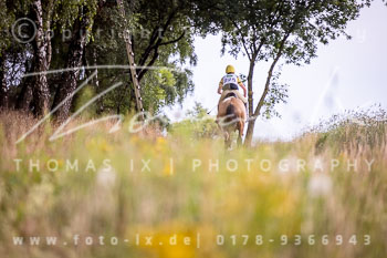 10 - Sahrendorf CCI3* 10 - Sahrendorf CCI3*