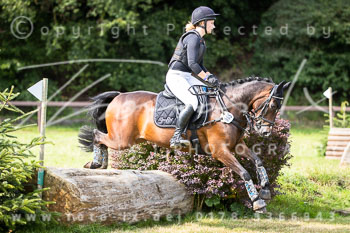 11 - Geländeritt E - Harburger Reitverein