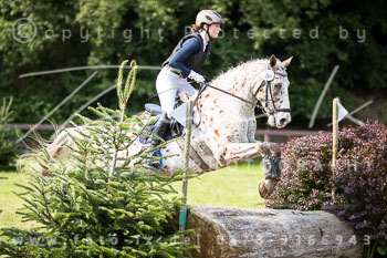 11 - Geländeritt E - Harburger Reitverein