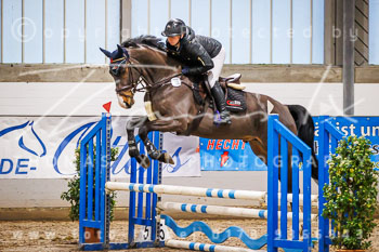 01 - Luhmühlen Springpferde A - Prüfung 01