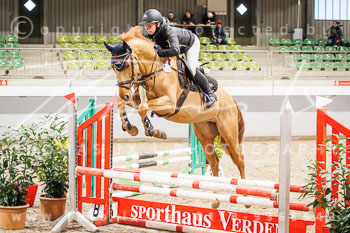 01 - Luhmühlen Springpferde A - Prüfung 01