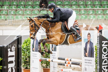 01 - Luhmühlen Springpferde A - Prüfung 01