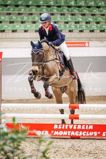 01 - Luhmühlen Springpferde A - Prüfung 01