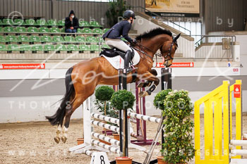 02 - Luhmühlen Springpferde A - Prüfung 02