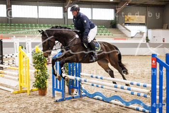 02 - Luhmühlen Springpferde A - Prüfung 02