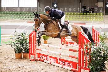 02 - Luhmühlen Springpferde A - Prüfung 02