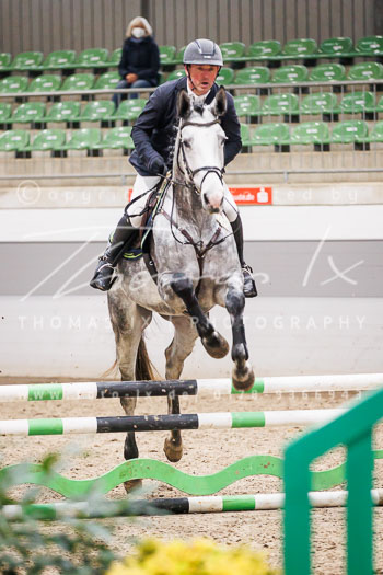 02 - Luhmühlen Springpferde A - Prüfung 02