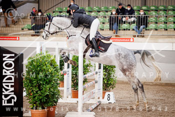 03 - Luhmühlen Springpferde A - Prüfung 03