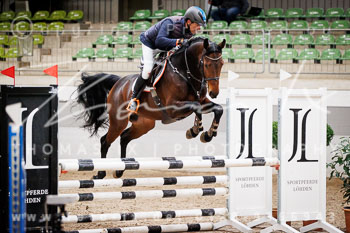 03 - Luhmühlen Springpferde A - Prüfung 03