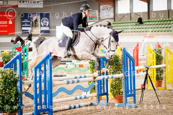 03 - Luhmühlen Springpferde A - Prüfung 03