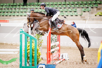 03 - Luhmühlen Springpferde A - Prüfung 03