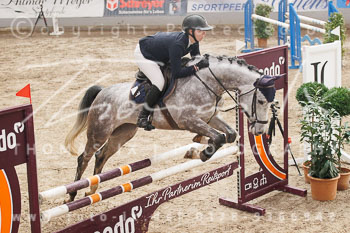 04 - Luhmühlen Springpferde L - Prüfung 04