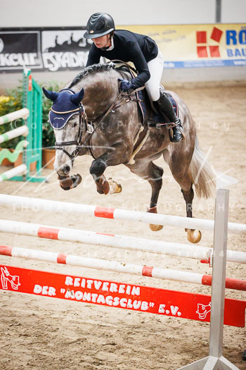 04 - Luhmühlen Springpferde L - Prüfung 04