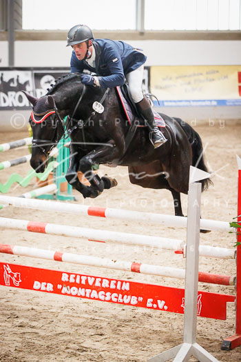 04 - Luhmühlen Springpferde L - Prüfung 04