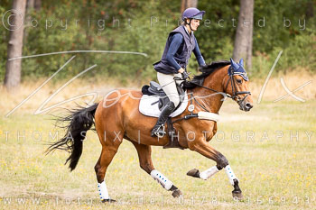 09 - Sahrendorf Geländepferde L