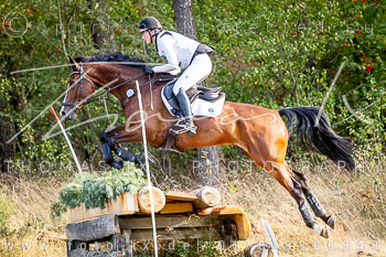 10 - Sahrendorf Gelände CCI1* 10 - Sahrendorf Gelände CCI1*