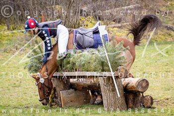 03 - Sahrendorf Stilgeländeritt 2. Abteilung