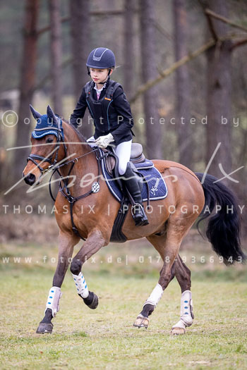 06 - Sahrendorf Geländereiter WB