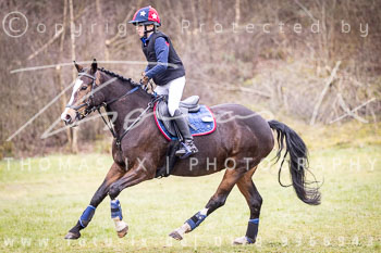 06 - Sahrendorf Geländereiter WB