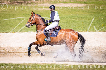 08 - Luhmühlen Gelände CCI1*-Intro 08 - Luhmühlen Gelände CCI1*-Intro
