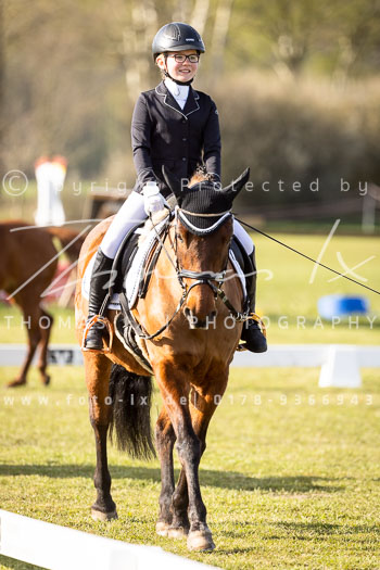 09 - Allenbostel Reiter WB Schritt Trab Galopp