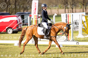 09 - Allenbostel Reiter WB Schritt Trab Galopp 09 - Allenbostel Reiter WB Schritt Trab Galopp