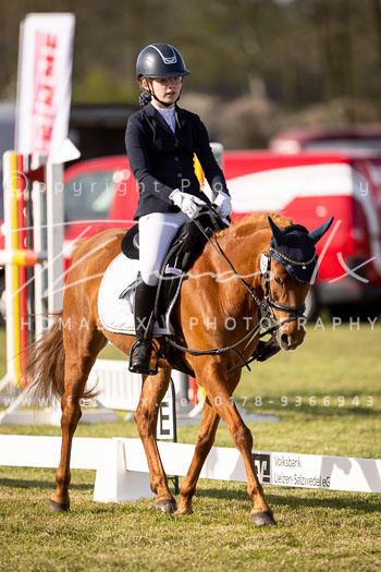 09 - Allenbostel Reiter WB Schritt Trab Galopp