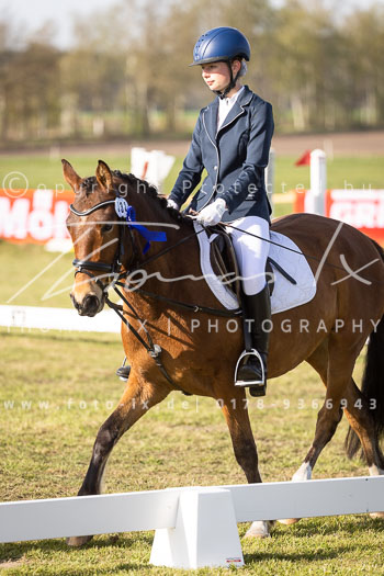 09 - Allenbostel Reiter WB Schritt Trab Galopp