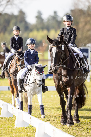 09 - Allenbostel Reiter WB Schritt Trab Galopp