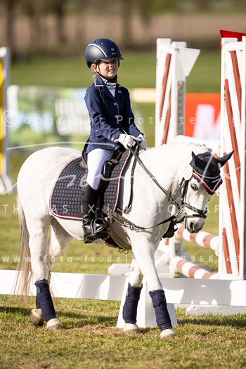 09 - Allenbostel Reiter WB Schritt Trab Galopp