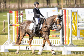 09 - Allenbostel Reiter WB Schritt Trab Galopp
