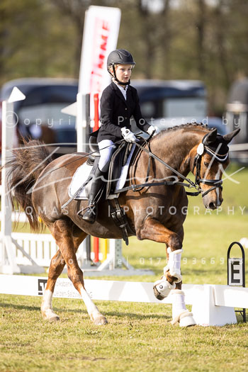 09 - Allenbostel Reiter WB Schritt Trab Galopp