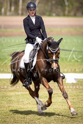 11 - Allenbostel Dressurreiterprüfung A