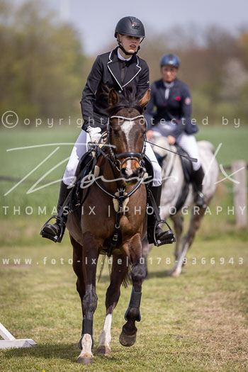 11 - Allenbostel Springreiter Wettbewerb