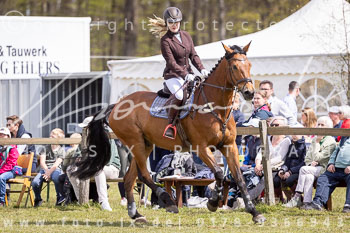 11 - Allenbostel Springreiter Wettbewerb