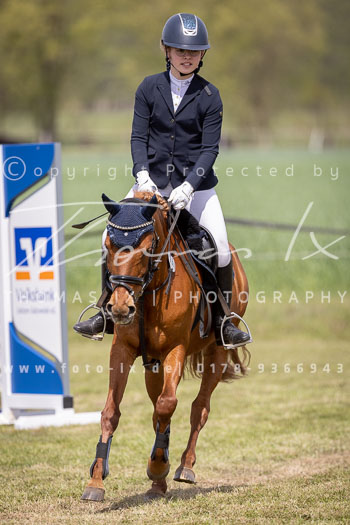 11 - Allenbostel Springreiter Wettbewerb