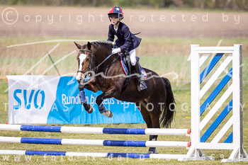 11 - Allenbostel Springreiter Wettbewerb