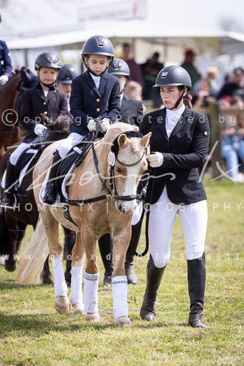 13 - Allenbostel Führzügel Wettbewerb
