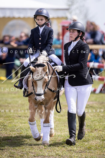 13 - Allenbostel Führzügel Wettbewerb
