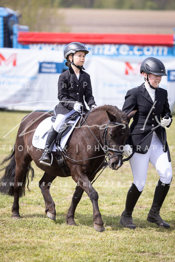 13 - Allenbostel Führzügel Wettbewerb