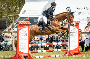 14 - Allenbostel Stilspring Wettbewerb