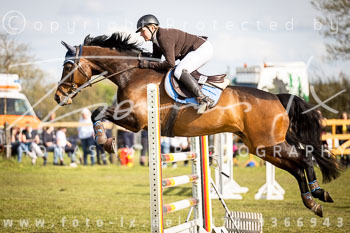 17 - Allenbostel Springprüfung L 17 - Allenbostel Springprüfung L