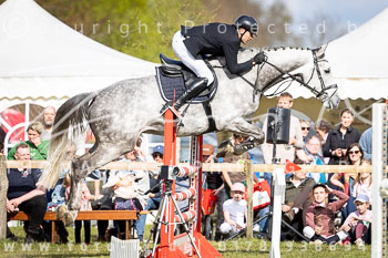 17 - Allenbostel Springprüfung L