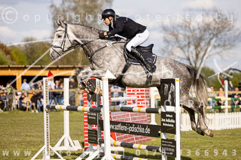 18 - Allenbostel Springprüfung M