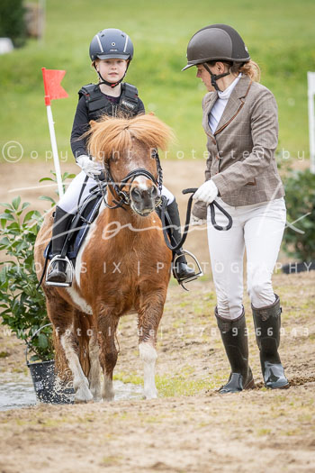 19 - Luhmühlen Gelände-Führzügel-Wettbewerb