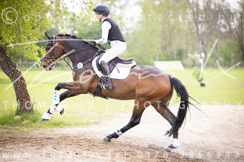 22 - Luhmühlen Stilgeländeritt A