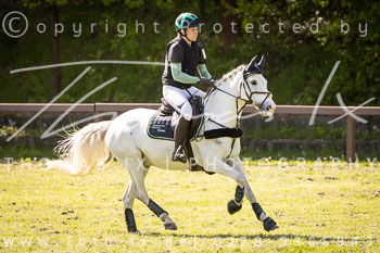 24 - Harburg Stilgeländeritt E - II. Abteilung