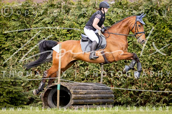 24 - Harburg Stilgeländeritt E - II. Abteilung